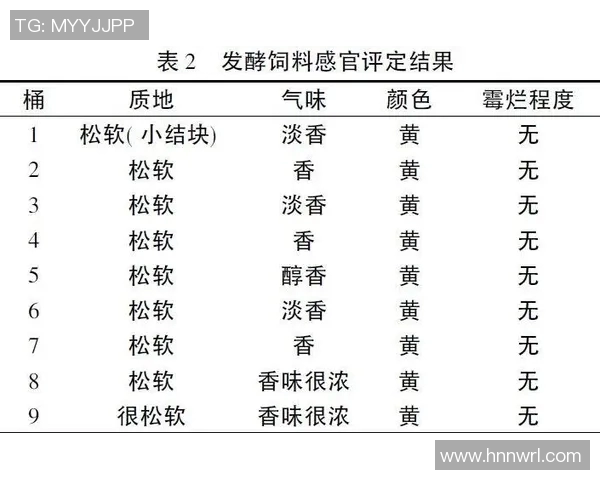 弗莱姚明防守技巧分析及其对比赛结果的影响探讨
